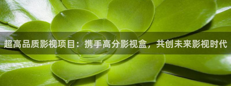 桔子酒制作视频：超高品质影视项目：携手高分影视盒，共创未来影视时代