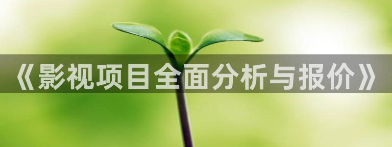 桔子影视免费下载：《影视项目全面分析与报价》