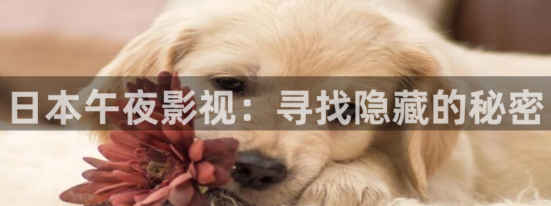 桔子.tv：日本午夜影视：寻找隐藏的秘密