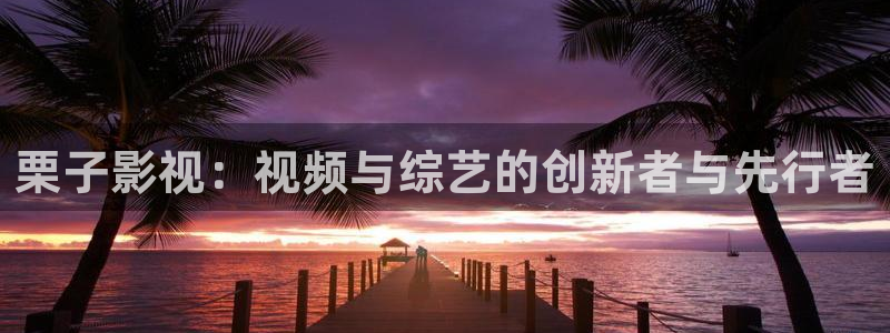 桔子的图片：栗子影视：视频与综艺的创新者与先行者