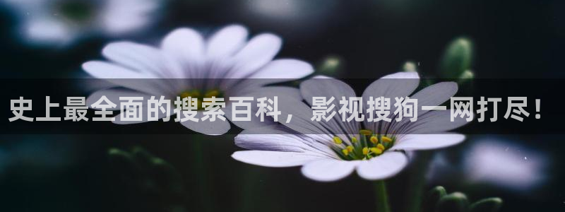 桔子影院午夜场免费：史上最全面的搜索百科，影视搜狗一网打尽！