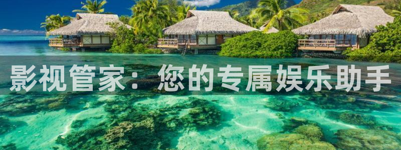 桔子网视频：影视管家：您的专属娱乐助手