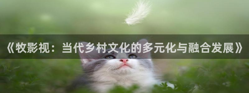 桔子的天空电影播放：《牧影视：当代乡村文化的多元化与融合发展》